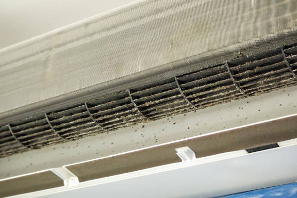 Best Commercial Air Duct Cleaning  in Drum Point, MD